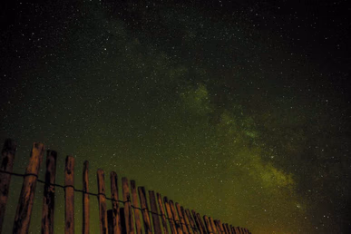 Large gallery image 1