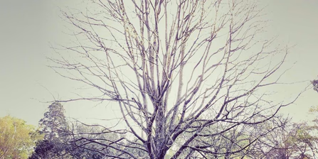 Large gallery image 3