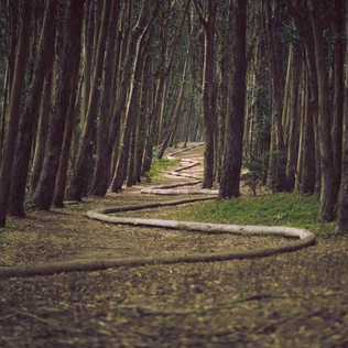 Large gallery image 8